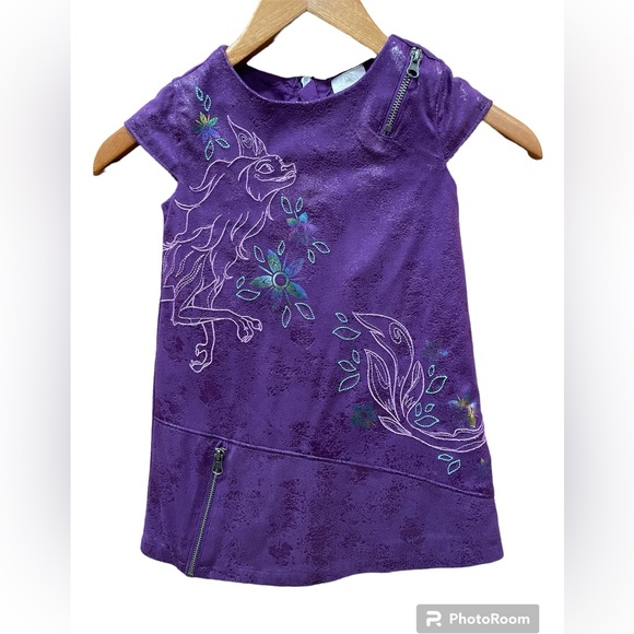 Disney Raya Last Dragon Shirt Dress in size 4T - Picture 1 of 3